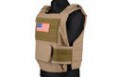Tactical Body Armor - TAN